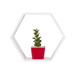 Repisa-Australia-26-9.5-30Cm-Mdf-Blanco---------------------