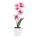 Planta-Artificial-Orquidea-Surt-18Cm-Plastico-Blanco-Varios-