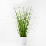 Planta-Artificial-Grass-Surt-36Cm-Plastico-Blanco-----------