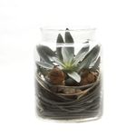 Planta-Artificial-Bonsai-Egipto-12.5-16Cm-Vidrio------------
