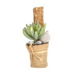 Planta-Artificial-Bonsai-Suculenta-6-14Cm-Yute--------------