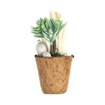 Planta-Artificial-Bonsai-Aloe-8-19Cm-Fibra-Coco-------------