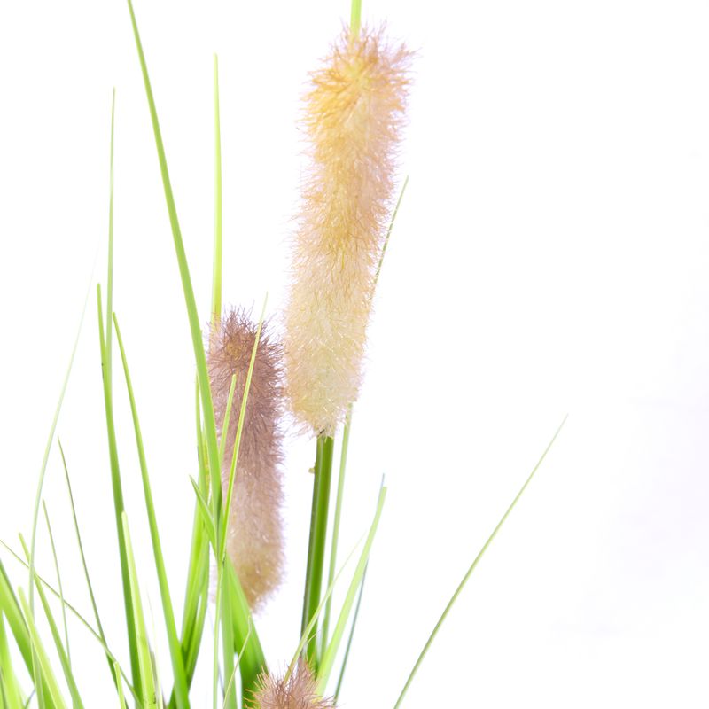 Planta-Artificiall-Alta-Graminea-40x84Cm-Verde