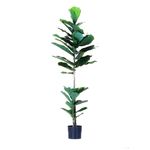 Planta-Artificiall-Alta-Ficus-46x132Cm-Verde