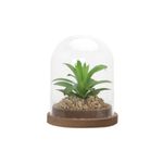 Planta-Artificial-Urna-Penca-11-11-13Cm-Vidrio--------------