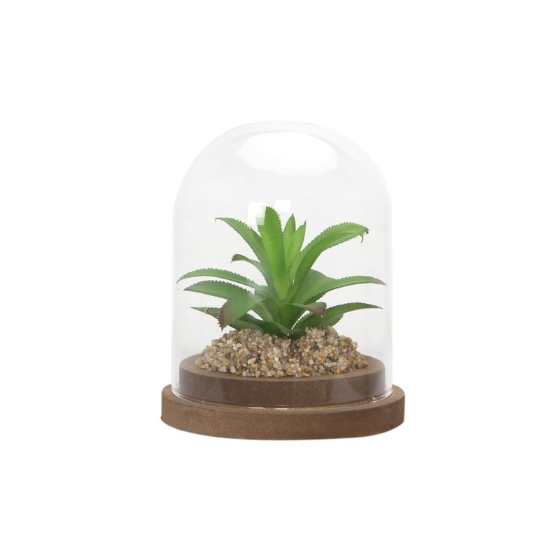 Planta-Artificial-Urna-Penca-11-11-13Cm-Vidrio--------------