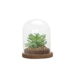 Planta-Artificial-Urna-Suculenta-11-11-13Cm-Vidrio----------