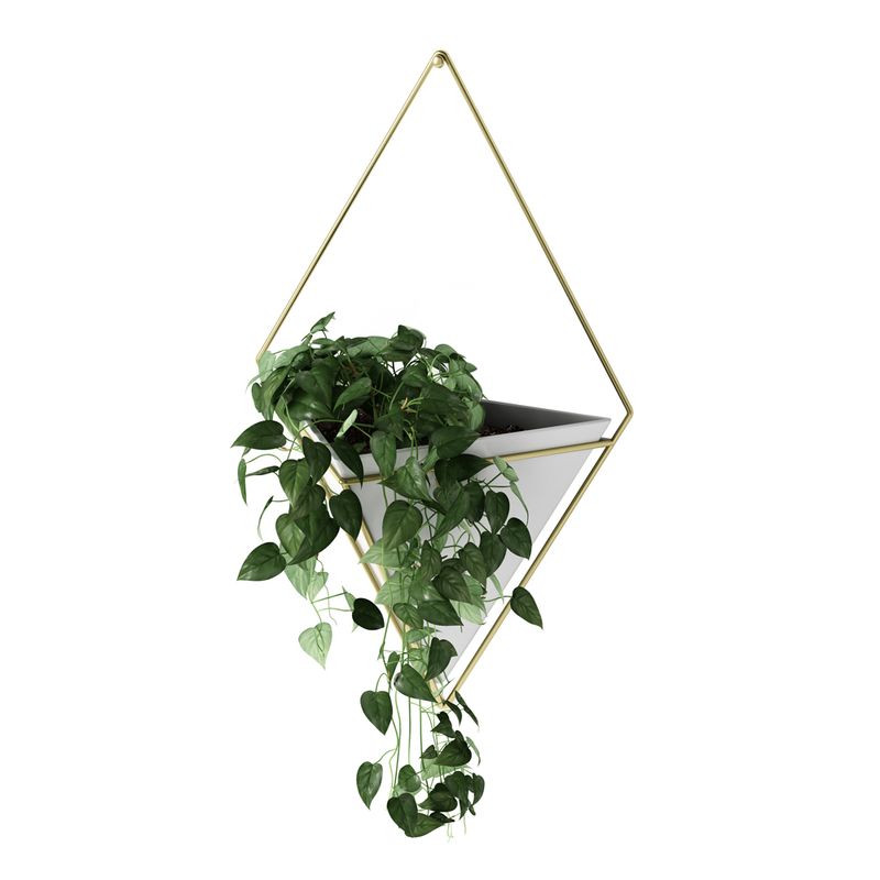 Recipiente-Pared-Trigg-36-13-23Cm-Concreto-Metal-Bl-Dorado--