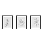 Set-3-Cuadros-Natura-I-Blanco-Negro