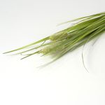 Flor-Artificial-Arbusto-Typha-70-Cm-Verde