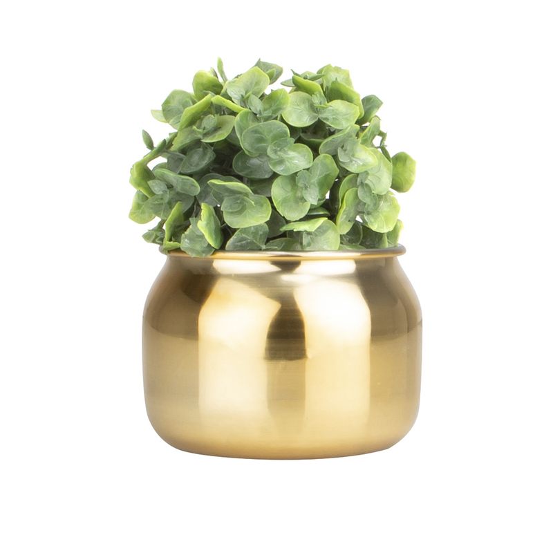 Matera-Glans-Xs-14-14-10Cm-Oro