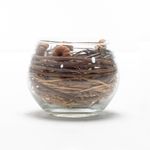 Vela-Sin-Aroma-Arreglo-Putka-10-8Cm