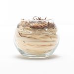 Vela-Sin-Aroma-Arreglo-Palmera-10-8Cm