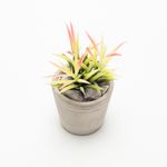 Planta-Artificial-Bonsai-Aloe-8-7Cm