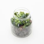 Planta-Artificial-Bonsai-Tropical-14.5-15Cm