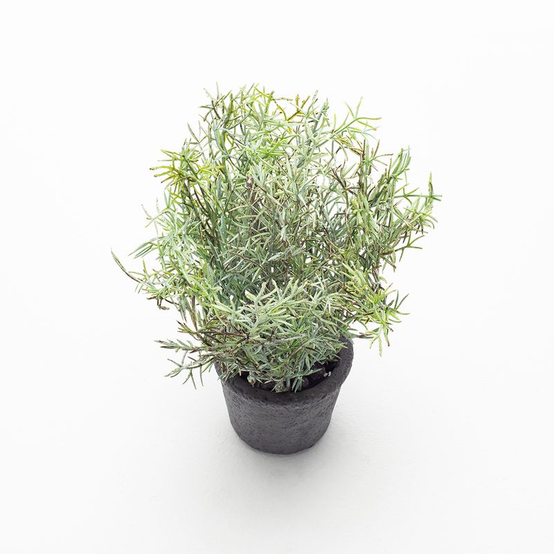 Planta-Artificial-Bonsai-S-Iris-8-20Cm-Negro
