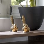 Figura-Ave-Lado-Seul-Dorado