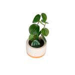 Planta-Artificial-Hojas-Beige