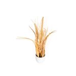 Planta-Artificial-Dry-Grass-Surt-Blanco