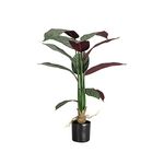 Planta-Artificial-Alta-Maranta-55-55-90Cm-Plastico-Verde-Ng-