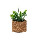 Planta-Artificial-Bonsai-Sedum-9-15cm
