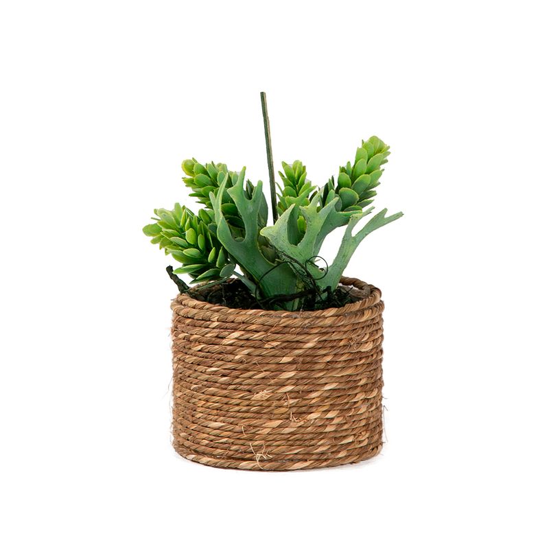 Planta-Artificial-Bonsai-Sedum-9-15cm