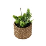 Planta-Artificial-Bonsai-Sedum-9-15cm