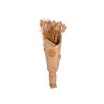 Flor-Artificial-Bouquet-Arbusto-Typha-60cm-Cafe