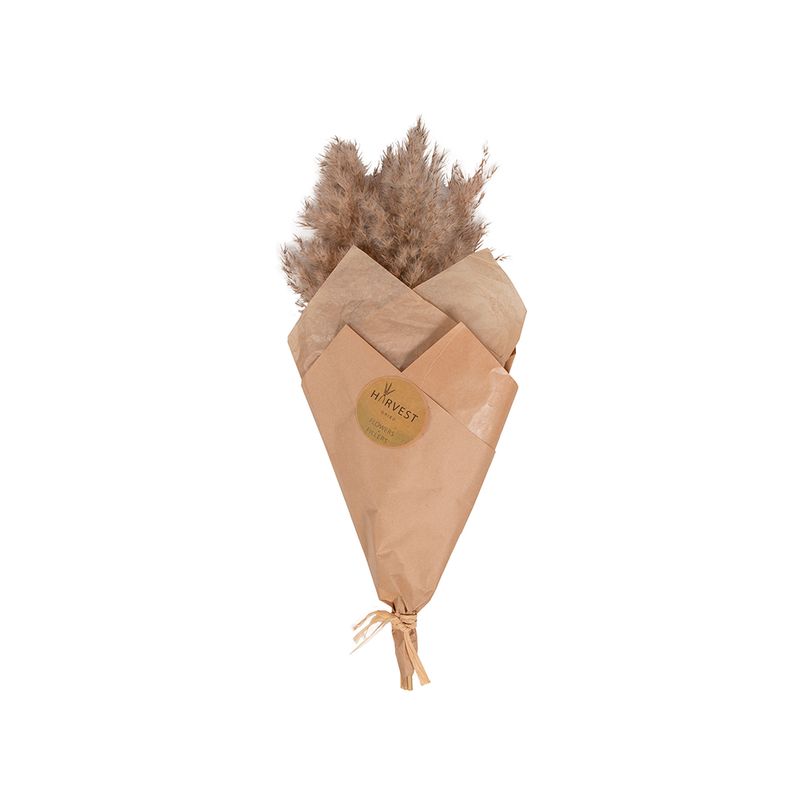 Flor-Artificial-Bouquet-Pampas-Grass-60cm-Cafe