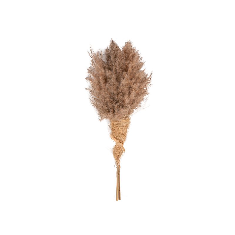 Flor-Artificial-Bouquet-Pampas-Grass-60cm-Cafe