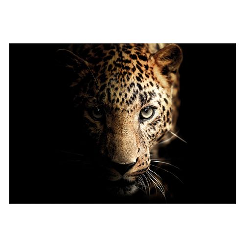 Cuadro Leopard Head 70*100CM
