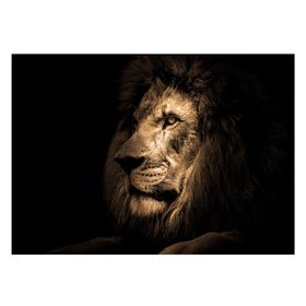 Cuadro Lion Head 70*100cm