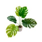 Planta-Artificial-Balazo-Varios