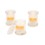 Set-3-Velas-Vaso-de-Vidrio-46Gr-Vainilla