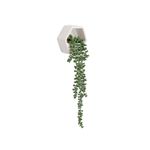 Planta-Artificial-Colante-Vine