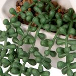 Planta-Artificial-Colante-Vine