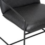 Poltrona-Sheba-Pu-Negro-Base-Negra
