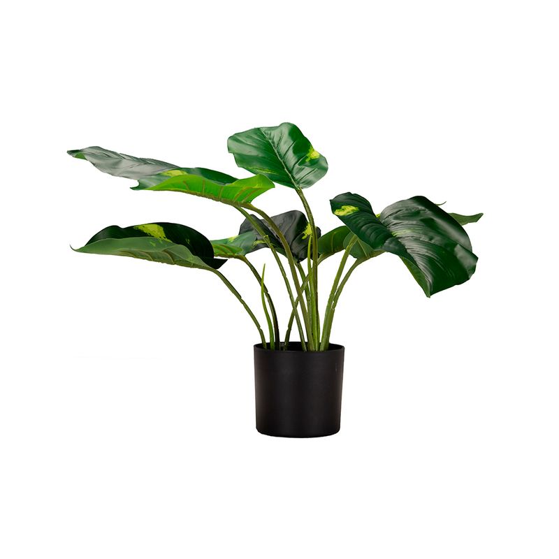 Planta-Alta-Potus-Dorado-50cm