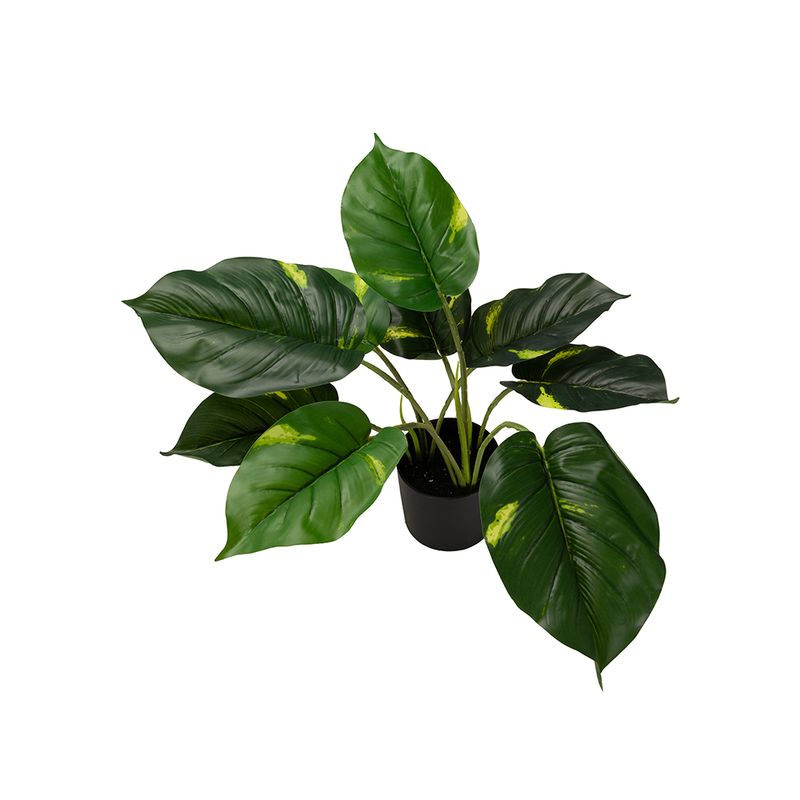 Planta-Alta-Potus-Dorado-50cm