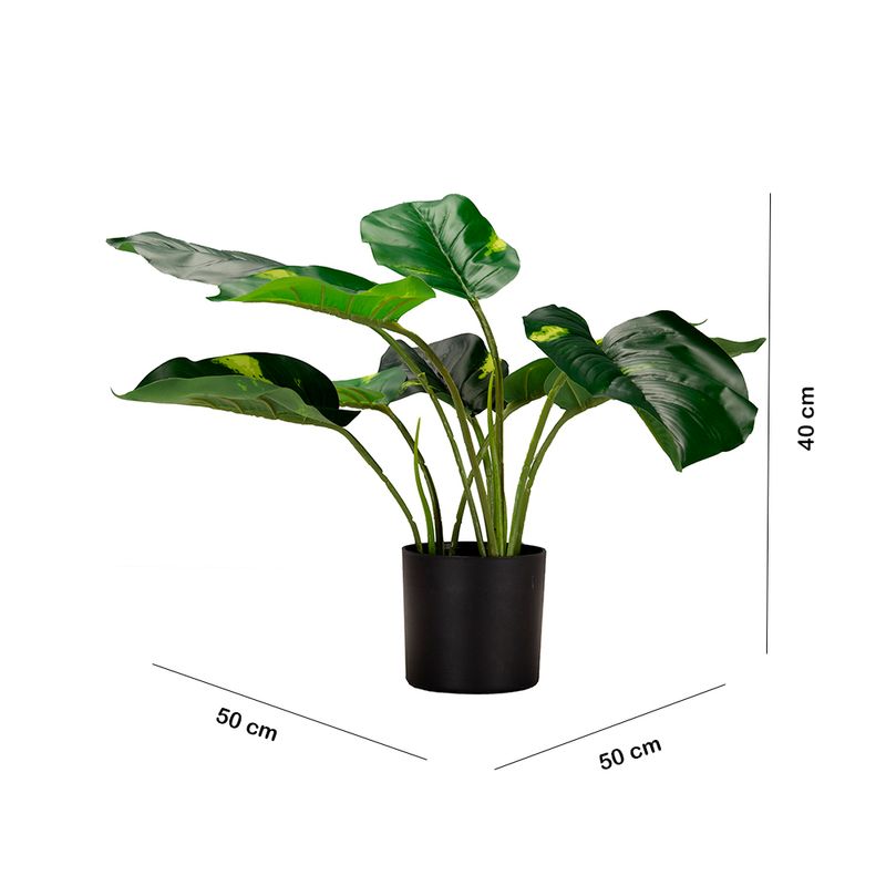Planta-Alta-Potus-Dorado-50cm