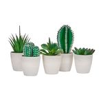 Planta-Artificial-Cactus-Referencia-Surtida