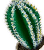 Planta-Artificial-Cactus-Referencia-Surtida