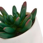 Planta-Artificial-Cactus-Referencia-Surtida