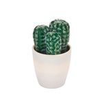 Planta-Artificial-Cactus-Referencia-Surtida