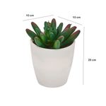 Planta-Artificial-Cactus-Referencia-Surtida