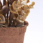 Planta-Artificial-Pepri-Fuit