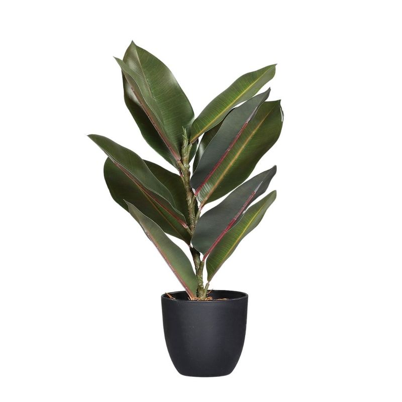 Planta-Artificial-Arbol-de-Caucho-40cm