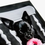 Cuadro-Vidrio-Chihuahua
